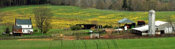 Farmhouse-Barns-Fields_600