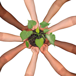 Community collaboration and cooperation concept and social crowdfunding investment symbol as a group of diverse hands organized in a circular formation nurturing a growing sapling tree as people coming together for success.